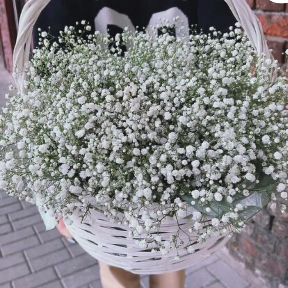 Корзина из гипсофилы 